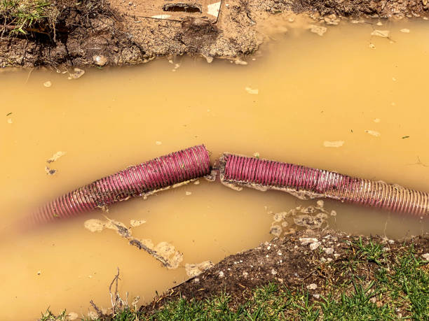 Best Water damage restoration near me  in Hartselle, AL